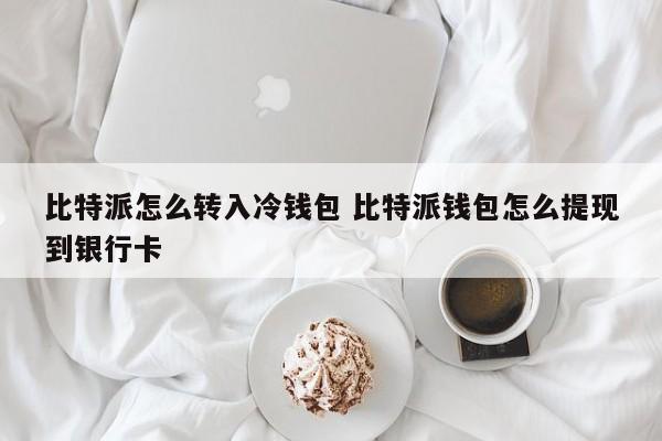 比特派钱包是冷钱包吗__比特派钱包派银行